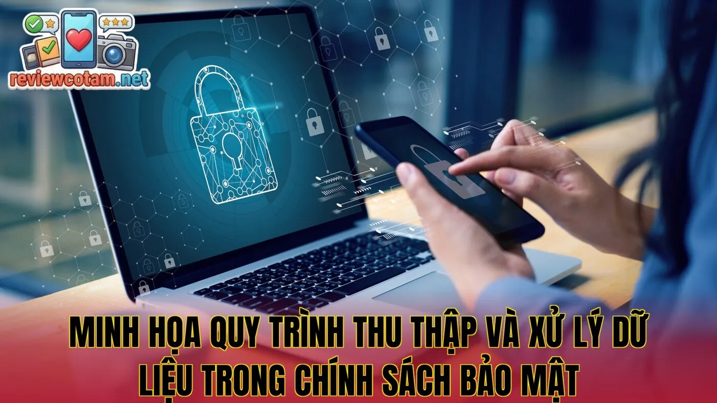 Minh họa quy trình thu thập và xử lý dữ liệu trong chính sách bảo mật