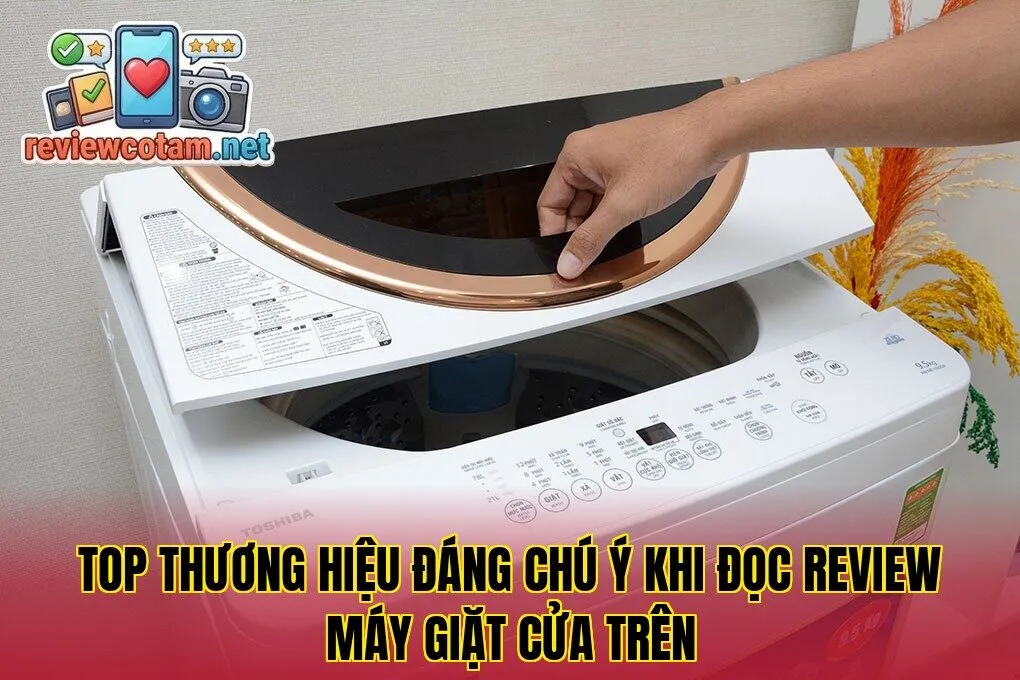 Top thương hiệu đáng chú ý khi đọc review máy giặt cửa trên
